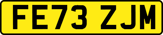 FE73ZJM
