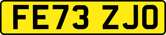 FE73ZJO