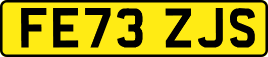 FE73ZJS
