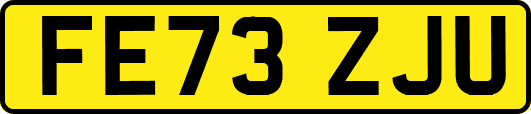 FE73ZJU