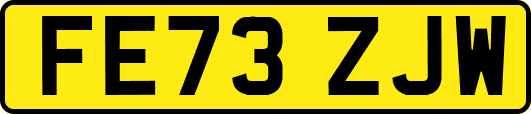 FE73ZJW