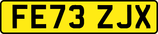 FE73ZJX