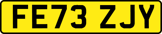 FE73ZJY