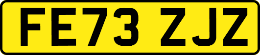 FE73ZJZ