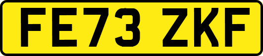 FE73ZKF