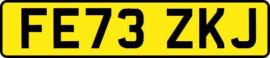 FE73ZKJ