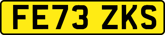 FE73ZKS