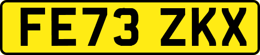 FE73ZKX