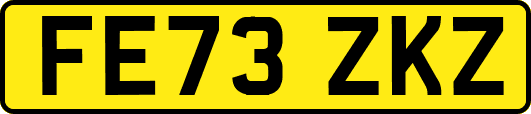 FE73ZKZ