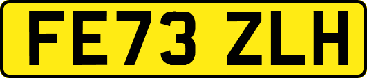 FE73ZLH