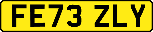 FE73ZLY