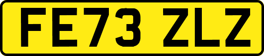 FE73ZLZ
