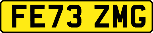 FE73ZMG
