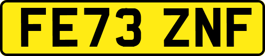 FE73ZNF