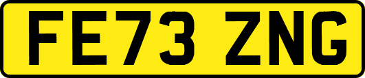 FE73ZNG