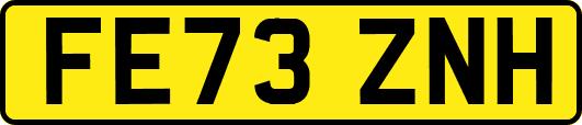 FE73ZNH