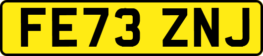 FE73ZNJ