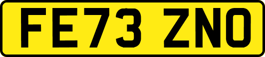 FE73ZNO
