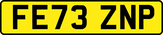FE73ZNP