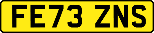 FE73ZNS