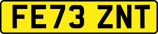 FE73ZNT