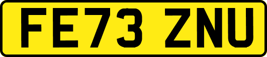 FE73ZNU