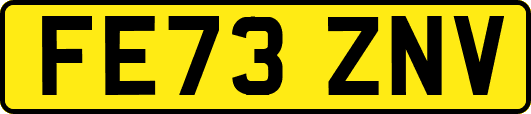FE73ZNV