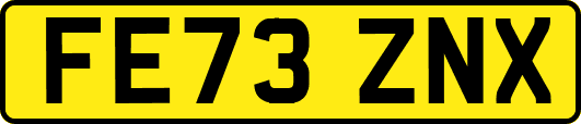 FE73ZNX