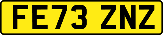 FE73ZNZ