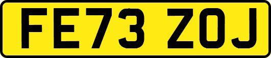 FE73ZOJ