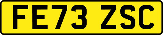 FE73ZSC