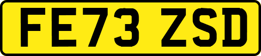 FE73ZSD