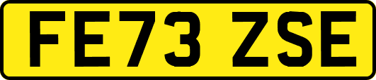 FE73ZSE