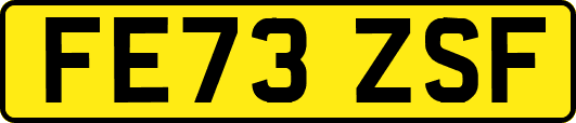 FE73ZSF