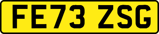 FE73ZSG