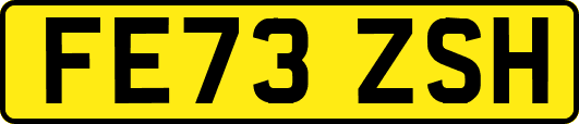 FE73ZSH