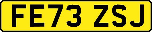 FE73ZSJ