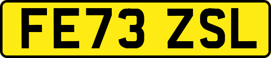 FE73ZSL