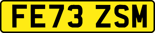 FE73ZSM