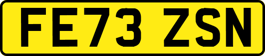 FE73ZSN