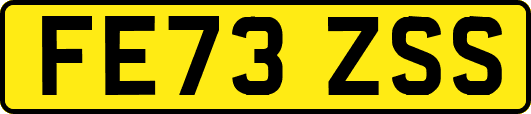 FE73ZSS