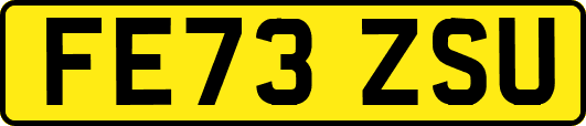 FE73ZSU