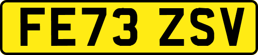 FE73ZSV
