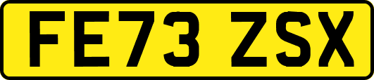 FE73ZSX