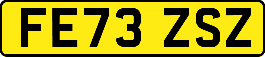 FE73ZSZ