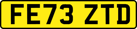FE73ZTD