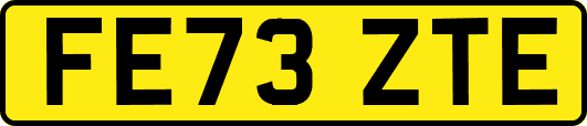 FE73ZTE