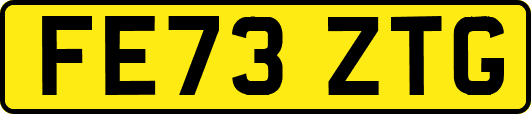 FE73ZTG