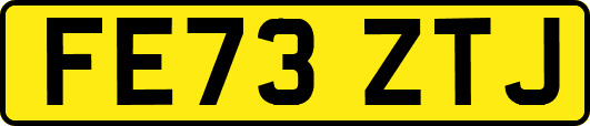 FE73ZTJ