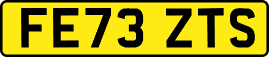 FE73ZTS